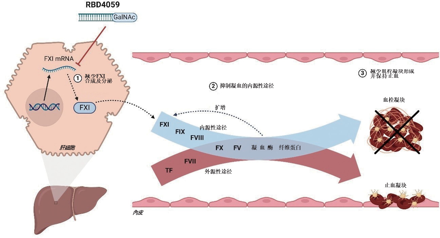 RBD4059.png