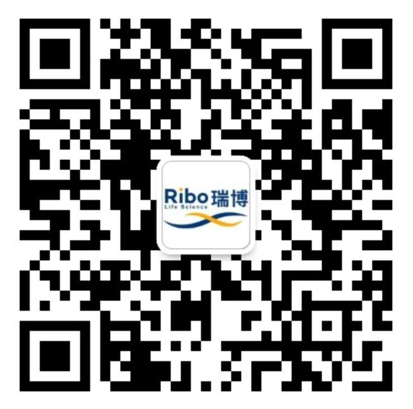 thumb_ruiboxiaohesuanerweima.jpg