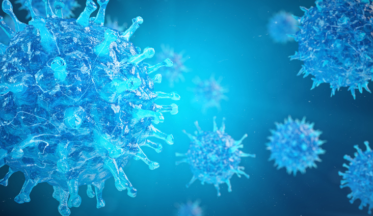 Frame 1618874148.jpg