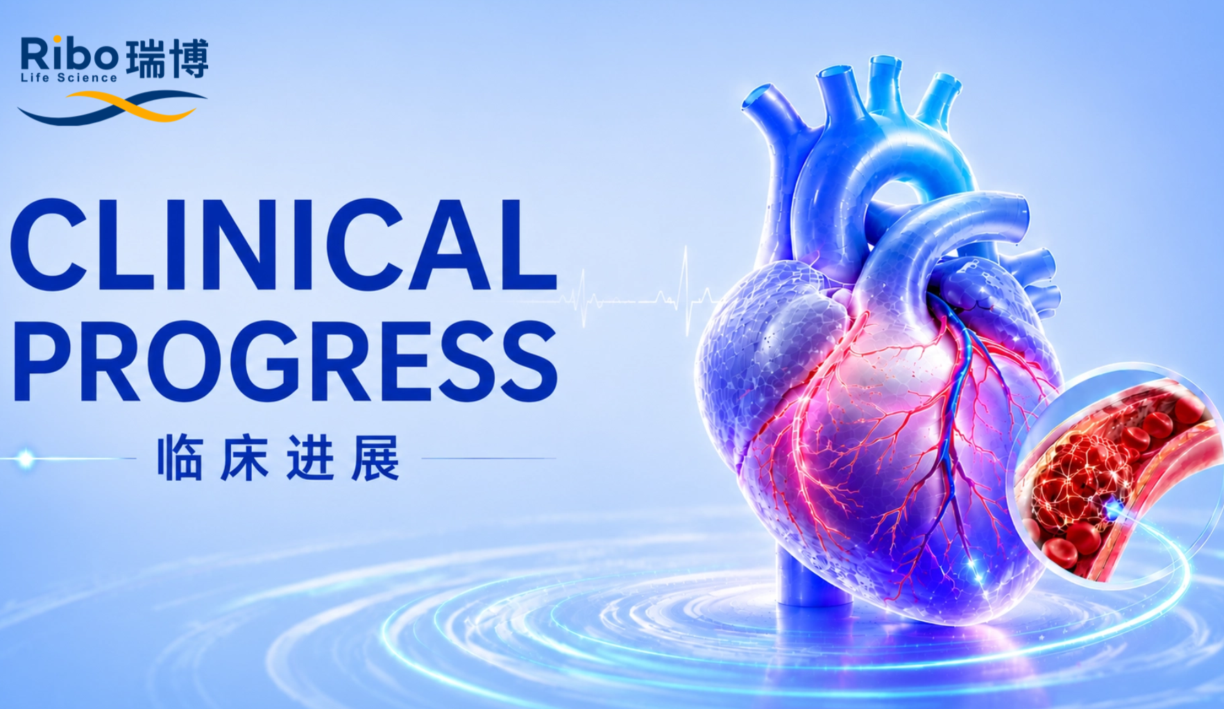 未命名(1)(5) (3).png