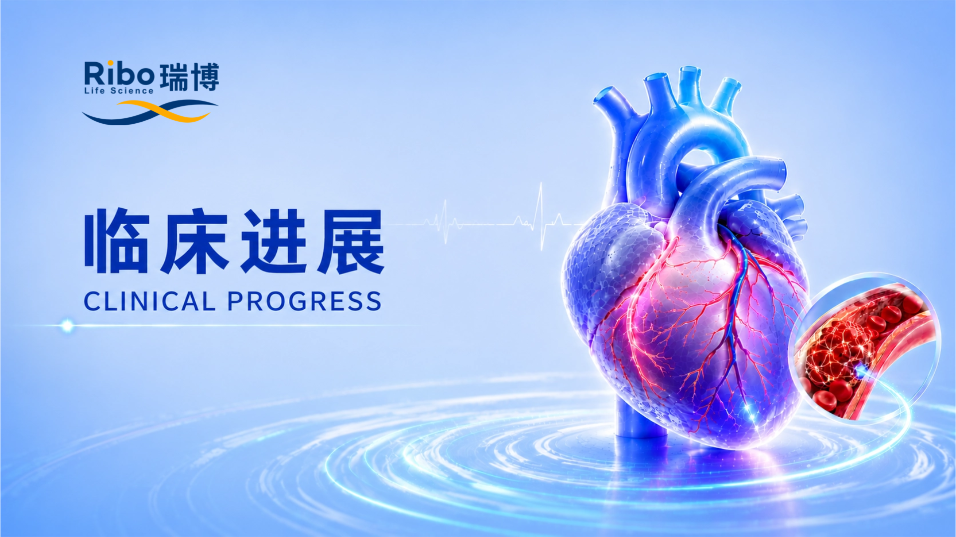 未命名(1)(5) (4).png